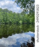 Look down the still, clam water of the Hope Mills lake. Dense forest surrounds the lake.