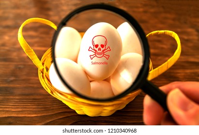 Look At An Egg With A Magnifying Glass That Is Contaminated With Salmonella.