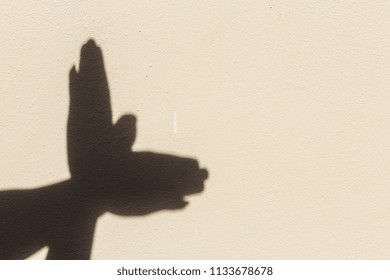 Look Like A Bird By Hands Shadow , Silhouette Of A Hand Gesture Like Bird Flying ,