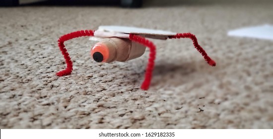 Look Out For Pipe Cleaner Bug