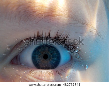 Similar – blue eyeLight Glass eye