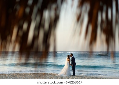 Look through the palm leaves at wedding couple kissing on the beach