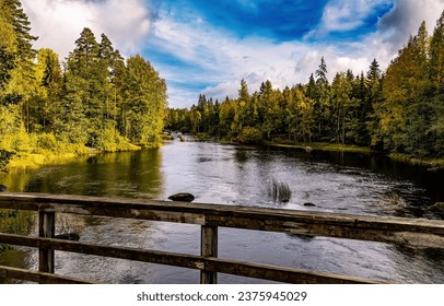 A look from a wooden bridge to a forest river in autumn. Forest river in autumn. Forest river landscape. Autumn river in autumn forest