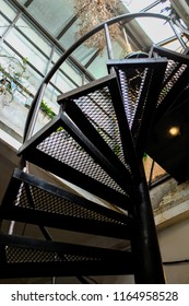 Look Up Wrought Iron Spiral Staircase