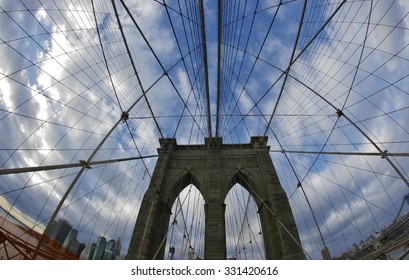 Looking Up