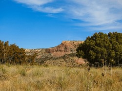Looking Across A Grassy Hill Through The Trees To A Mesa Mountain In The Distance