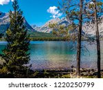 Looking across Leigh Lake in Grand Teton NP in Wyoming, from the Leigh Lake Trail, one has a beautiful view of the Tetons. Logs and evergreens hug the shoreline on the forest floor.