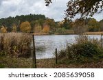 Looking across to the tea room at Frensham little pond near Guildford Surrey