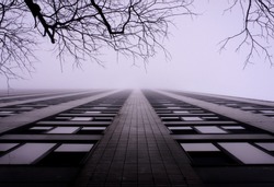 Looking Up Against A High-rise Apartment Building. The Scene Is Foggy And Dead Branches From A Bare Tree Hang Overhead. 