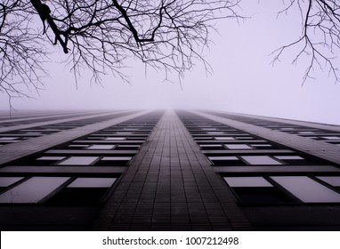 Looking Up Against A High-rise Apartment Building. The Scene Is Foggy And Dead Branches From A Bare Tree Hang Overhead. 