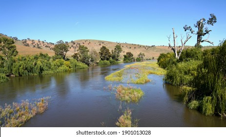 Looking Along The Murrumbidgee River