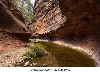 Looking around a bend in Oak Creek, Sedona - Powered by Shutterstock