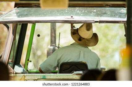Looking at the back of the tractor driver