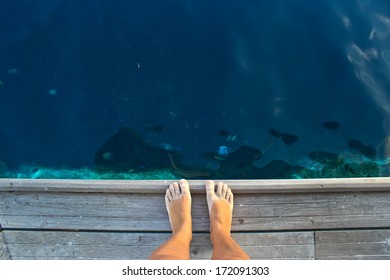 looking at the barrier reef