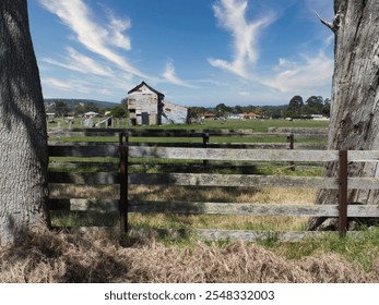 looking between the trunks of two trees you can see an old corrugated farm building sitting in a field of green grass , there are old timber fence rails to keep the animals in  , 