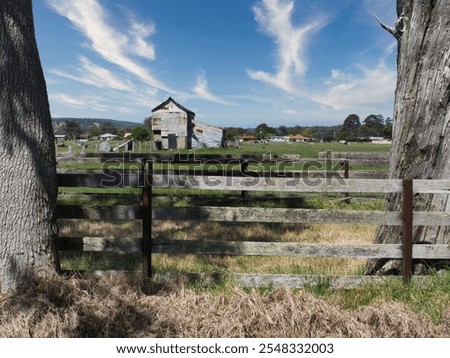 looking between the trunks of two trees you can see an old corrugated farm building sitting in a field of green grass , there are old timber fence rails to keep the animals in  , 