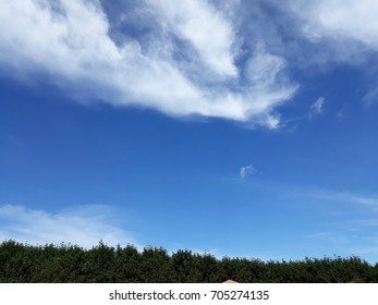 looking up at blue sky