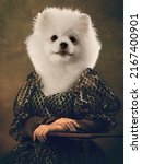 Looking at camera. Graceful female model like medieval person in vintage clothing headed by dog head isolated on dark retro background. Comparison of eras, art, renaissance style. Contemporary collage