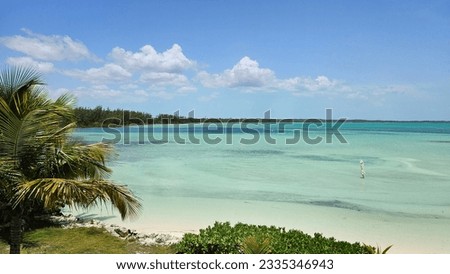 Looking at the Dark Blue Waters of a Blue Hole near land in Andros Bahamas 