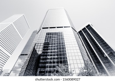 Looking Up Denver Colorado Black And White Financial District Glass Building Rising Straight Up