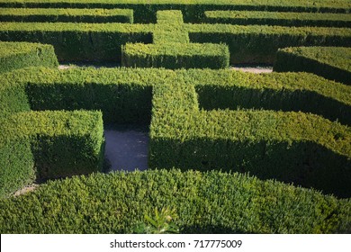 Looking Down From Above At A Hedge Maze. There Is Nobody Lost And Finding Their Way Through The Tall Green Bushes.