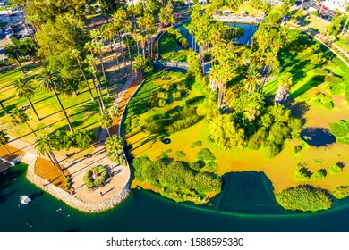 Looking Down From Above Tropical West Palms And Moden Lake Public Park Aerial Drone Views Of Los Angeles California Summer Views Of Palms Trees And Tropical West Coast Vibes 