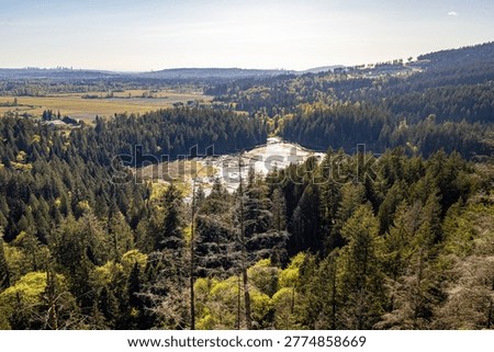 Looking down at Addington Marsh through evergreen trees from High Knoll at Minnekhada Regional Park in Coquitlam Canada