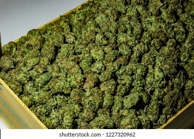 Imagenes Fotos De Stock Y Vectores Sobre Kush Green Shutterstock