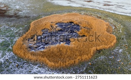 Looking down at a circular group of dry winter reeds in a frozen wetland with patches of white snow and brown dormant earth in the wilderness