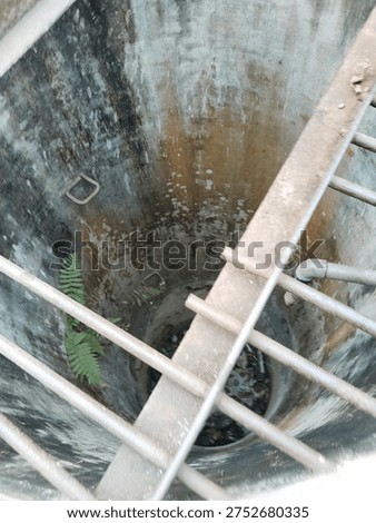 Looking down into a deep old concrete water well with metal safety bars and green ferns growing inside.