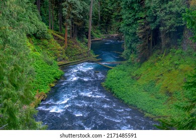 Looking Down At McKenzie River