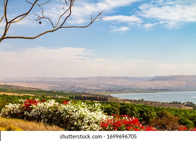 Looking down from the Mount of Beatitudes to the Lake Genezareth