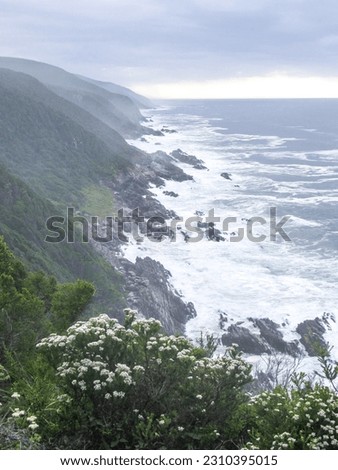 Looking down the mountainous Tsitsikamma Coastline, South Africa, on a cold overcast and misty day, with white Erica Philica in the fore ground