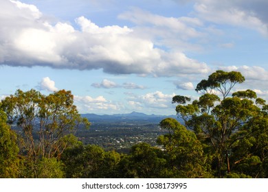 Looking Down From Mt Coot Tha Near Brisbane Australia At Suburbs And Mountains In The Background Framed By Tall Gum Trees