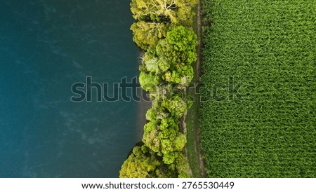 Looking down on crops that line the steamy river in the early morning.
