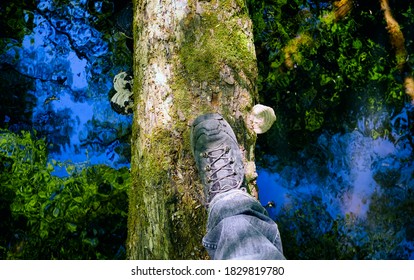 Looking Down On Hiking Shoes Feet Crossing A Log Bridge Over Water