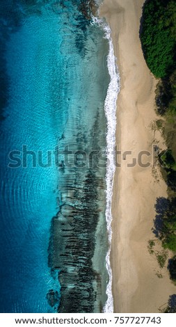 Similar – Blaues Glück Madeira Küste