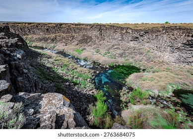 looking down on a spring that creates a large stream that runs through a canyon