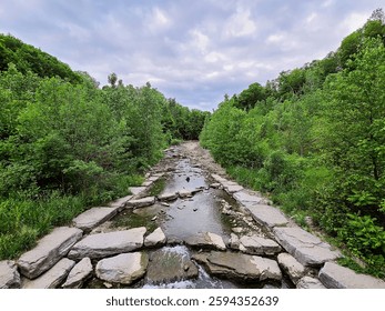 Looking down on a stream with large granite flat rock borders through the middle of a green forest under a dark overcast sky.