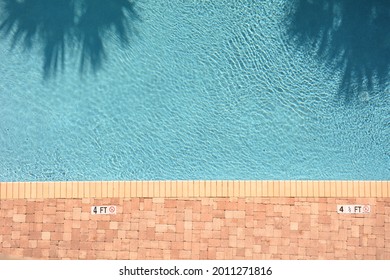 Looking down on a swimming pool with shadows of two plam trees. Room for your text.