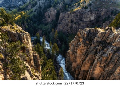 Looking down on a winding river in between tall canyon walls with lush green grass and trees along Chief Joseph highway in Wyoming