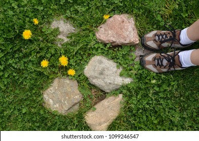 Looking Down On Woman's Feet In Sport Shoes Standing On Green Meadow With Stones, Blooming Dandelions. Nature Background, Environment Protection, Hiking, Sport Activities. Copy Space.