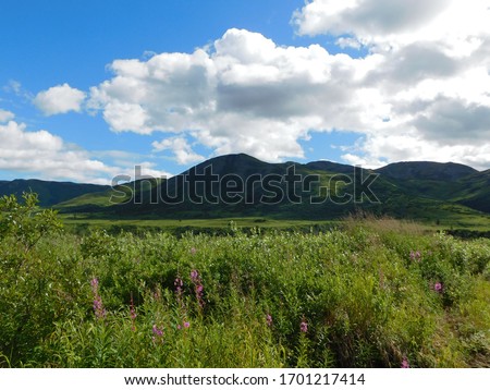 Looking down on the Yentna Mining District in Trapper Creek Alaska. A view only accessible via off road vehicles and an awareness that you are in bear country. 