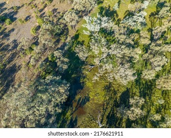 Looking Down Over A Pool Of Swampy Water Within The Sapphire Wetlands Nature Reserve Queensland Australia.