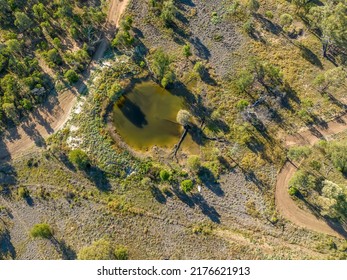 Looking Down Over A Pool Of Swampy Water Within The Sapphire Wetlands Nature Reserve Queensland Australia.