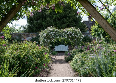 looking down a pathway through a summer garden arbour covered in roses  to a  bench