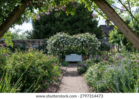 looking down a pathway through a summer garden arbour covered in roses  to a  bench