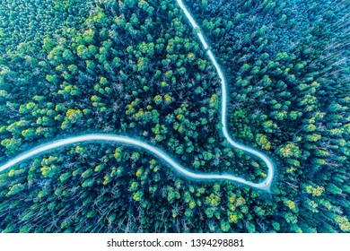 Looking Down At Road Bend Winding Through Forest - Aerial View