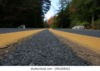 Looking down the road with fall foliage on the sides.