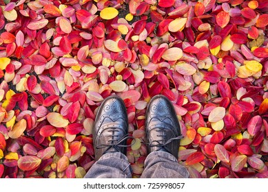 Looking Down At Shoes, Colorful Autumnal Leaves On The Ground.